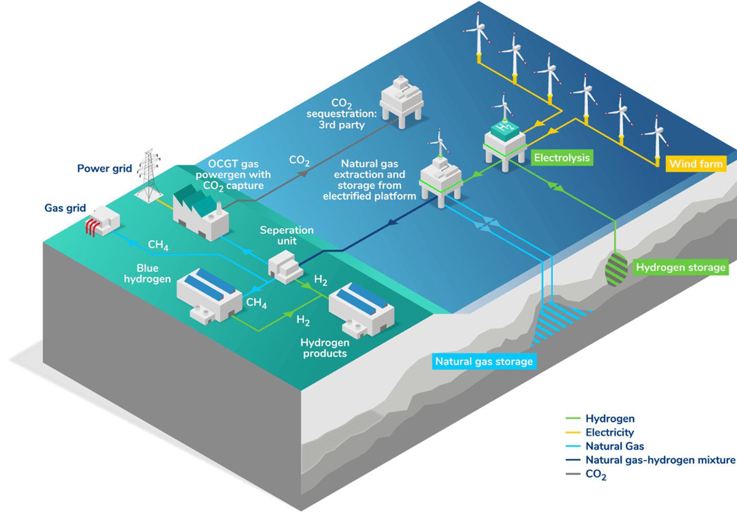 A representation of the MESH project.