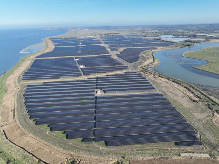 An aerial shot of the Cleve Hill solar farm.