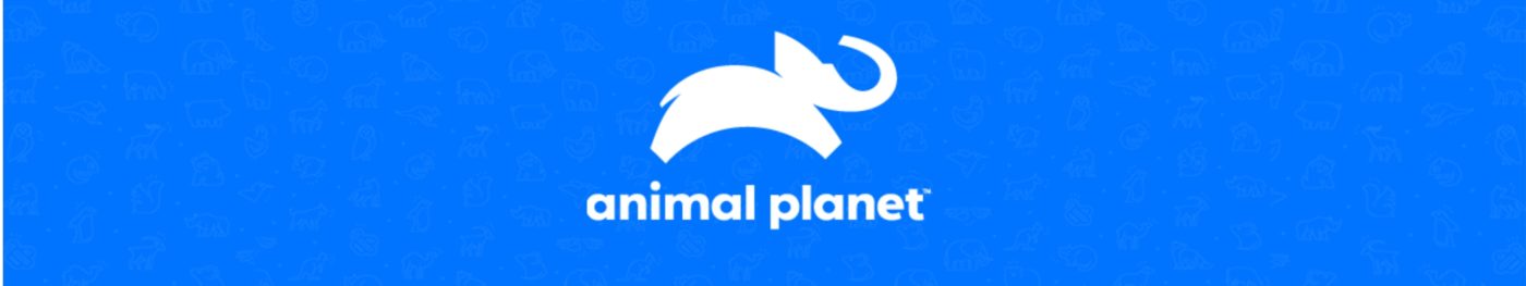 Animal Planet