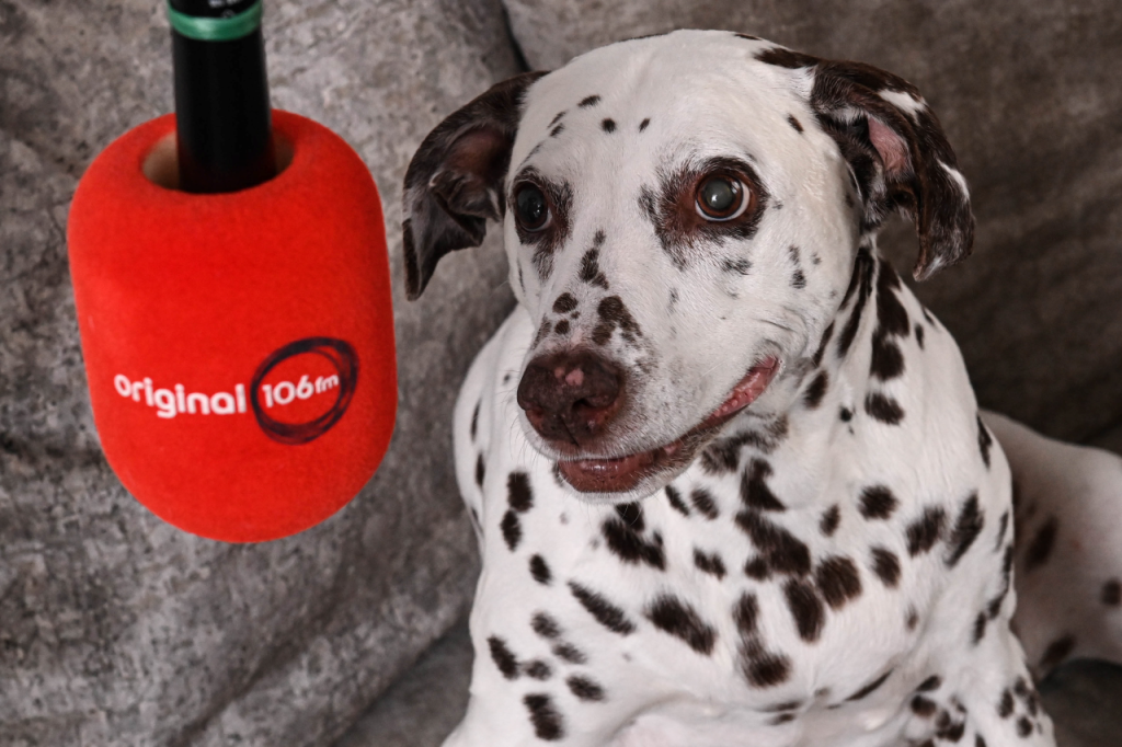 Original 106 Launches “Original 10STICKS” Radio Station to Keep North-East Scotland Dogs Calm During Fireworks