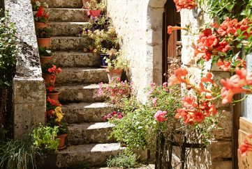 A gite in France with pretty flowers around the door