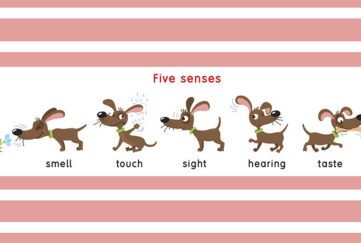 An images of dogs to illustrate the five senses
