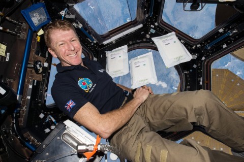 tim peake