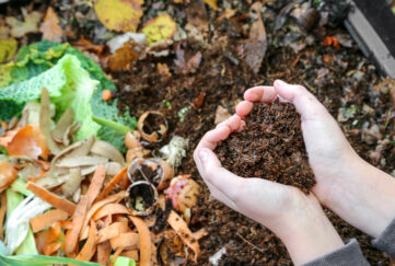Hands holding soil in heart shape over compost