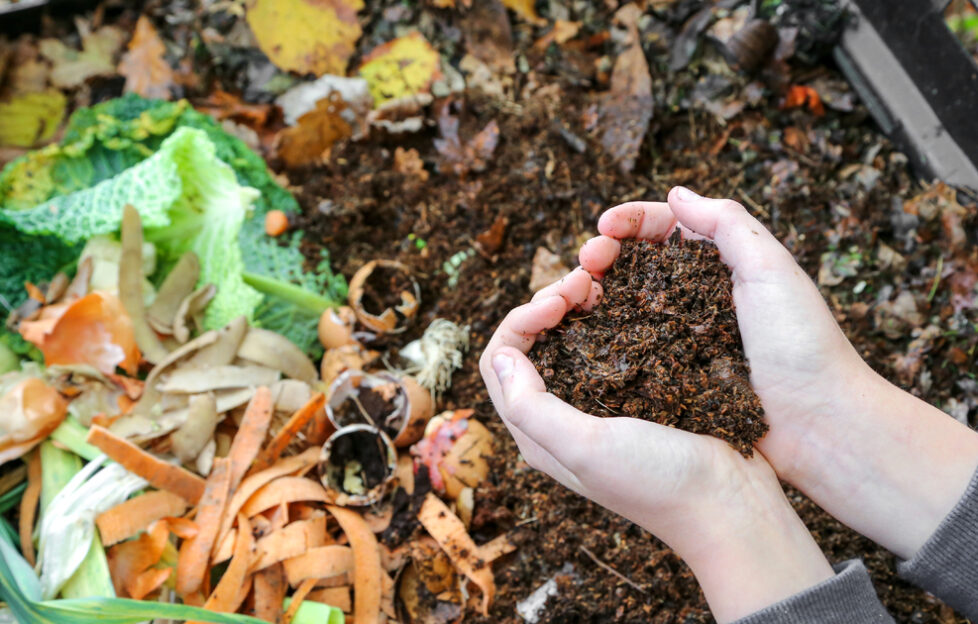 Hands holding soil in heart shape over compost