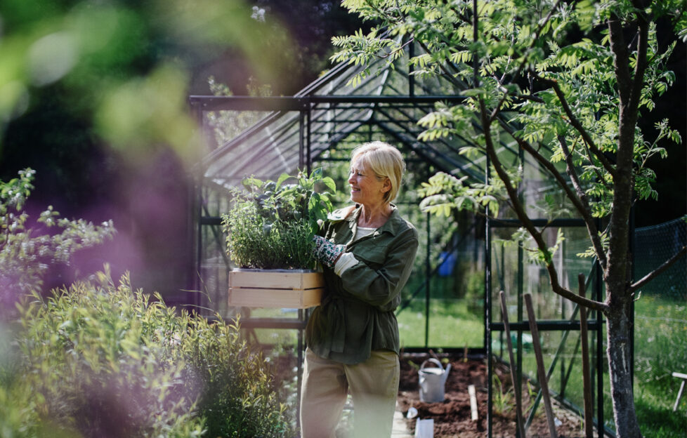 Senior woman tending to a garden with greenhouse