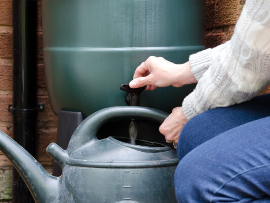 Rainwater tank pouring into watering can