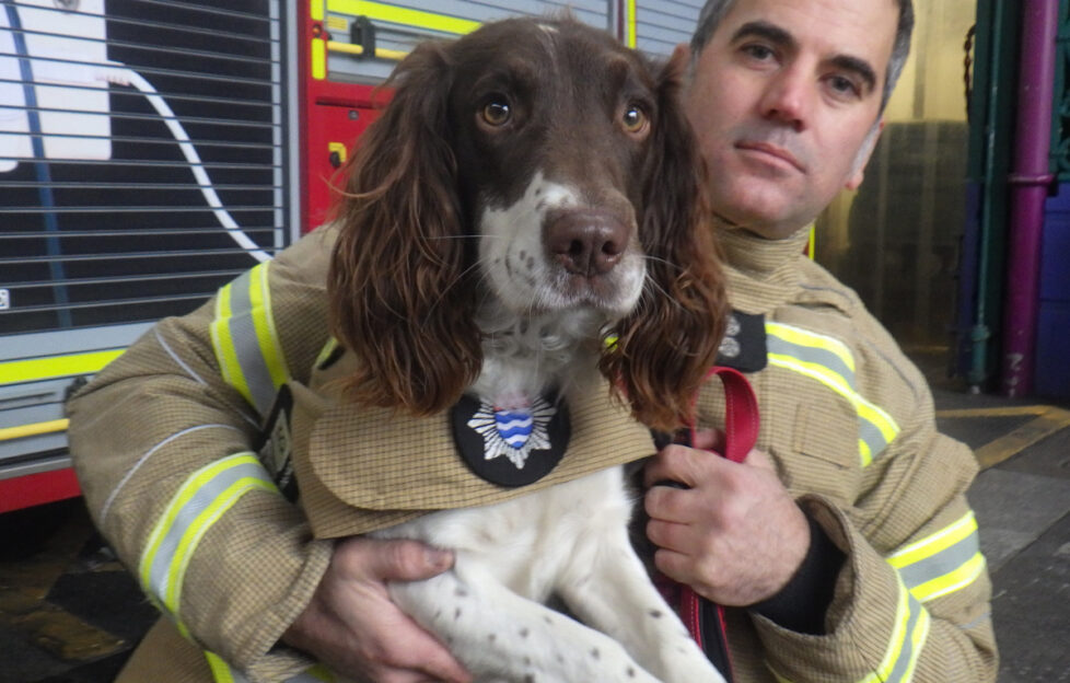 Hero pet Simba and trainer Anton in firefighting equipment