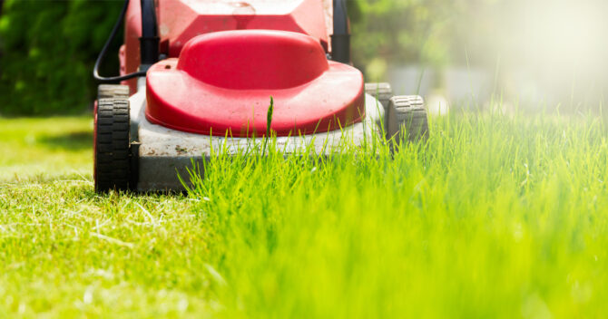 Red lawnmower mowing grass in sunshine