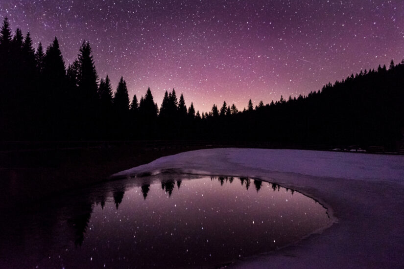 ‘Shine our little star’. The purple starry night sky settles over a forest creating a picturesque scene. By Matic Zizek, taken in Rogla, Slovenia. Provided by The CEWE Photo Award.