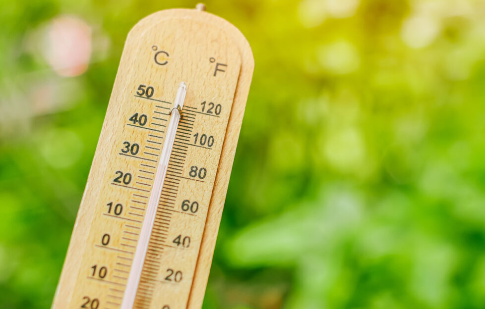 Thermometer on green grassy background