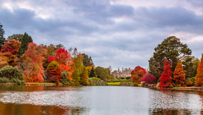 Sheffield Park Garden National Trust Site lake with autumnal trees, Sussex