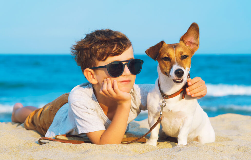 writing prompt story starter, the beach. Boy and dog on the lying on the sand