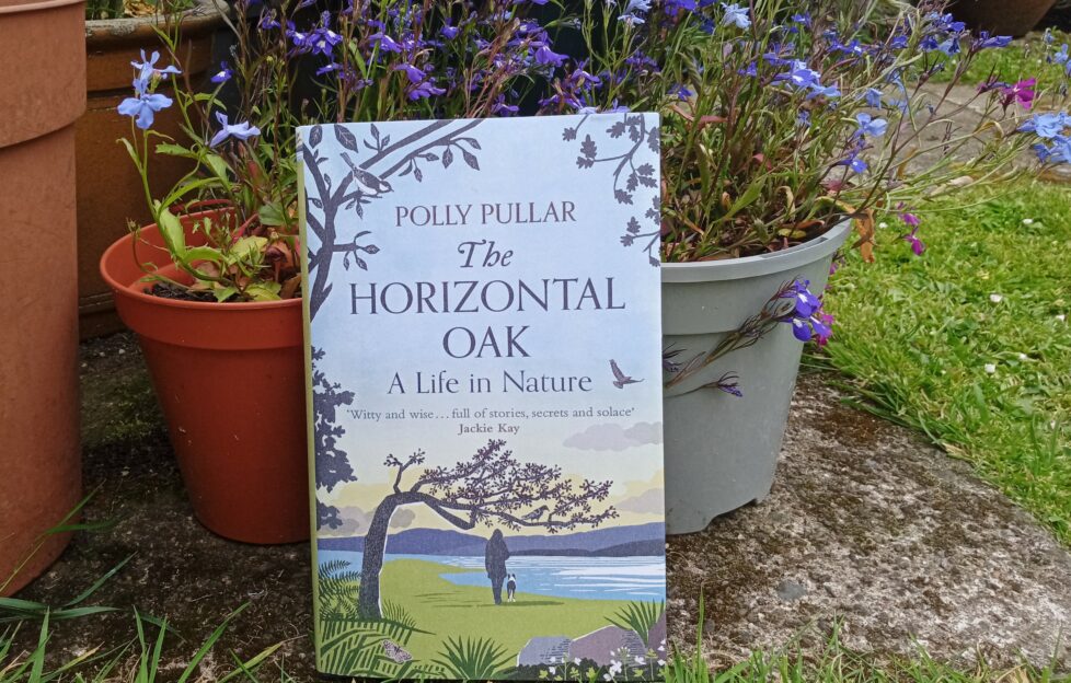 The Horizontal Oak book by Polly Pullar standing against plant pots in a garden