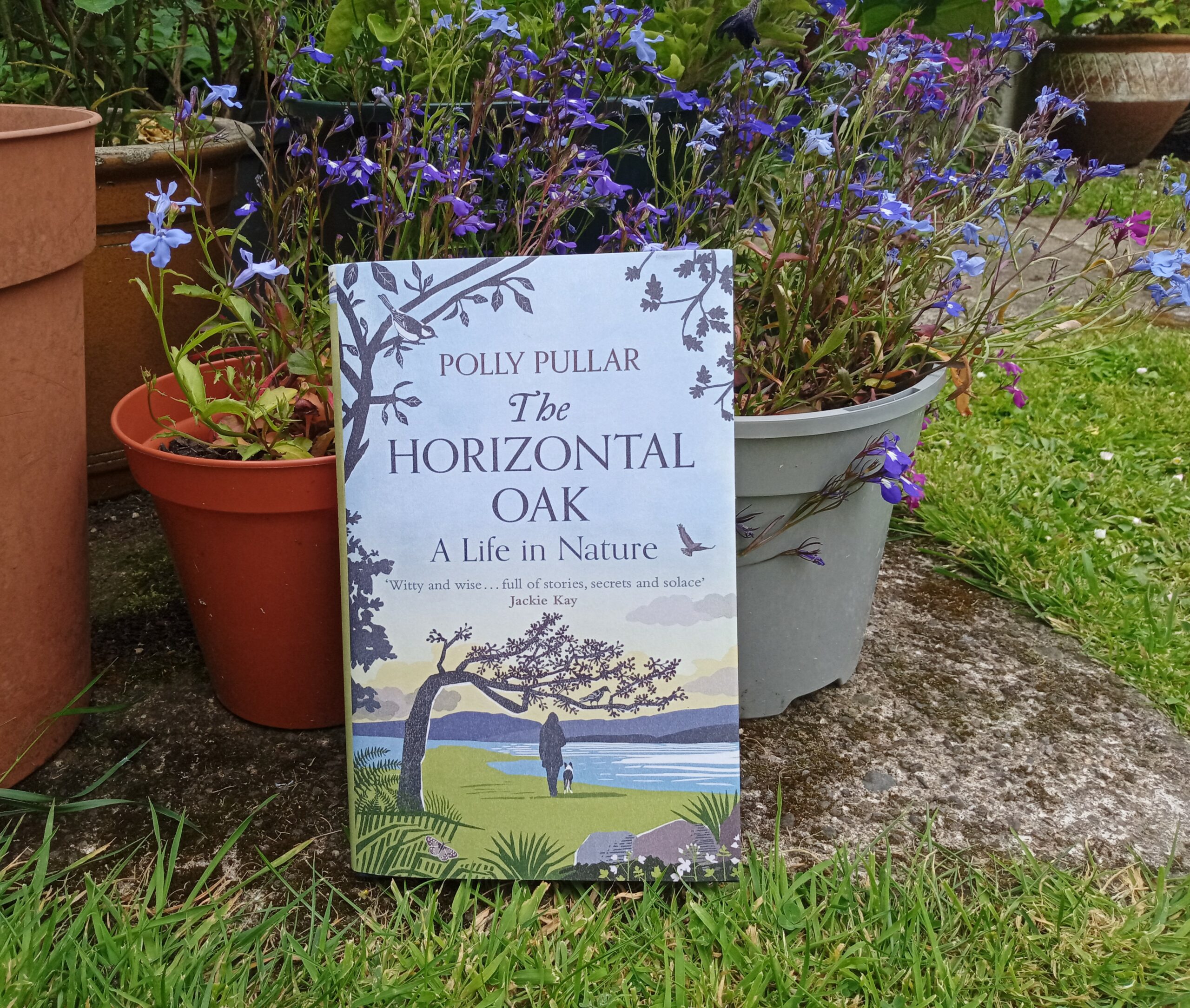 Book Review: The Horizontal Oak by Polly Pullar - Vimarsana News