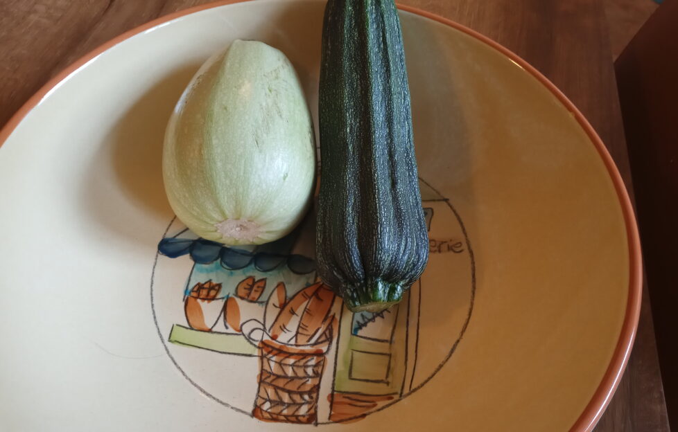 courgette vegetables on plate