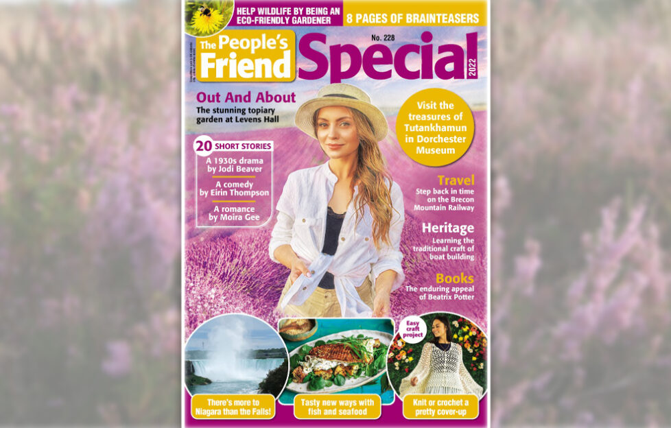The People's Friend Special 228 cover