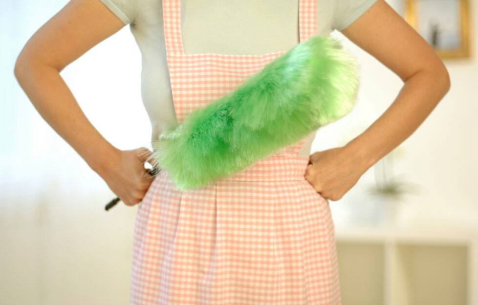 Torso of woman wearing apron and holding feather duster