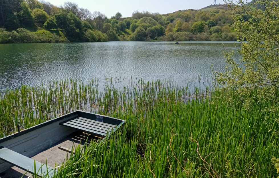 View of a lake surrounded by trees