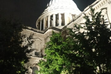 St Paul's Cathedral in London dome at night time, lit up with trees in front