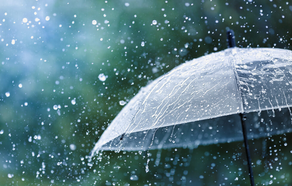 rain pouring on umbrella