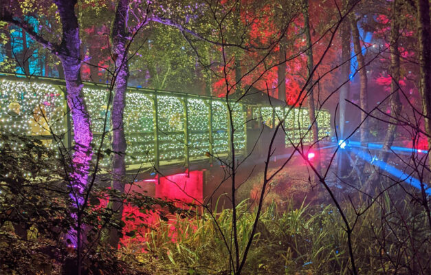 A glittering light bridge in a colourfully lit forest in the Enchanted Forest, Pitlochry