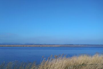 Blue skies over the River Tay with a patch of long grass in the corner