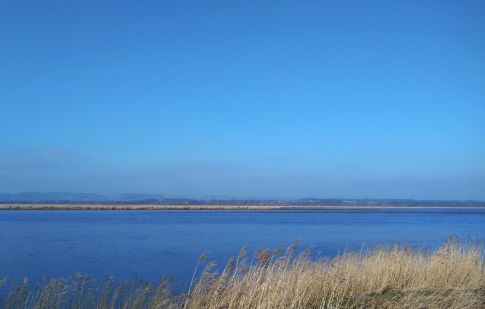 Blue skies over the River Tay with a patch of long grass in the corner