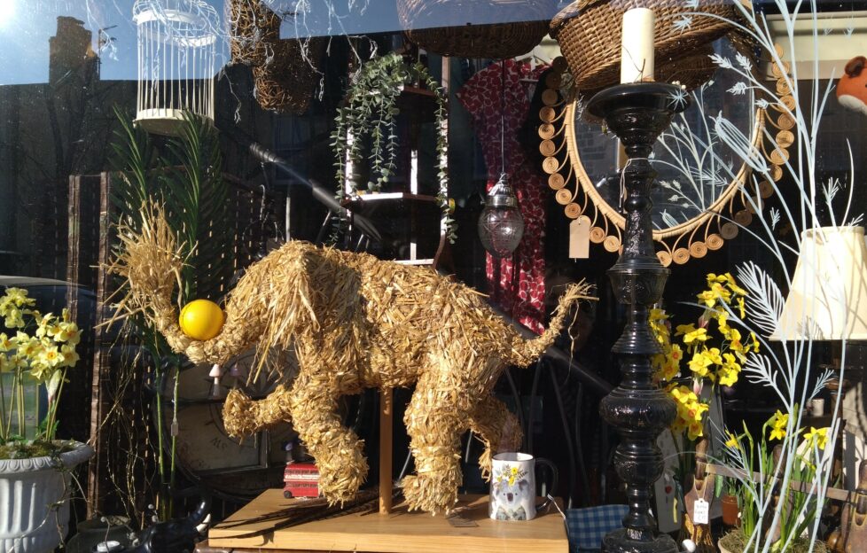 Window shop display of straw elephant and other curiosities