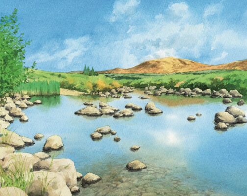 An illustration of Galloway Forest.