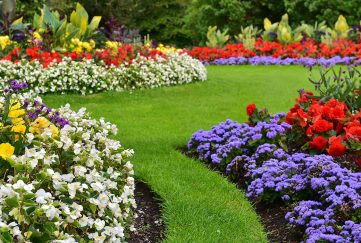 A rich, green lawn and pretty flower border