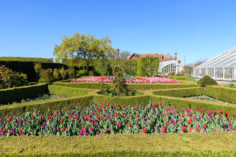 Tulip Festival Arundel Castle 