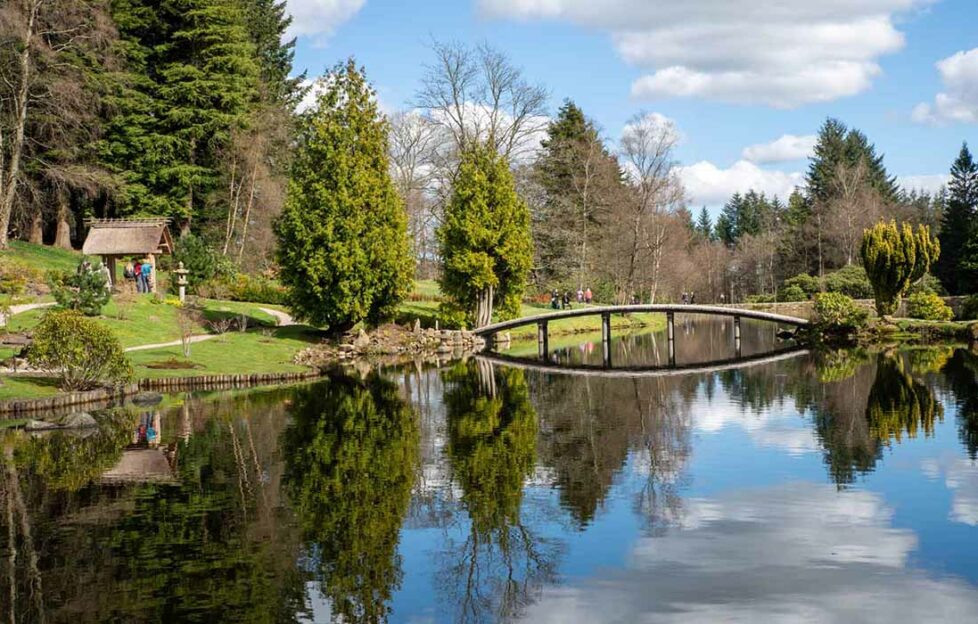 A quiet spring day, Cowden Japanese Garden Pic: Willie Shand