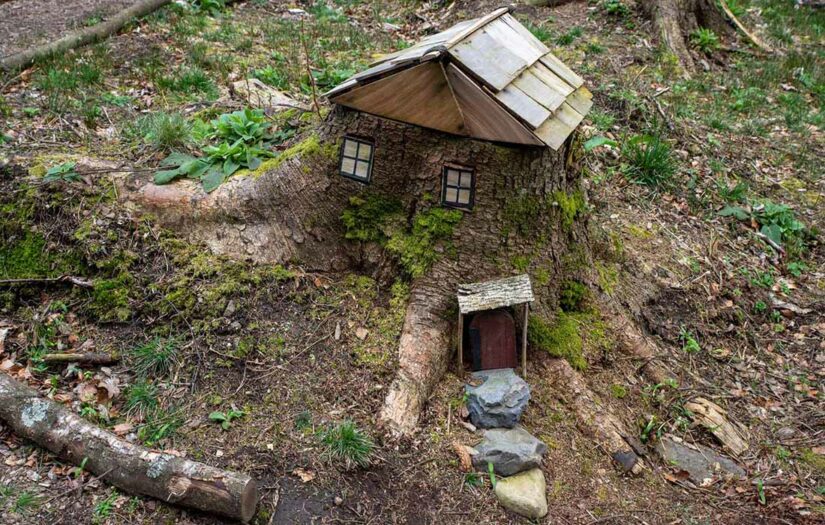 In the Fairy Village Pic: Willie Shand