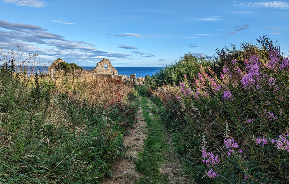 A lovely view near Stonehaven