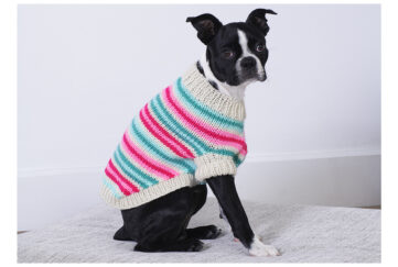 Dog wearing a knitted coat