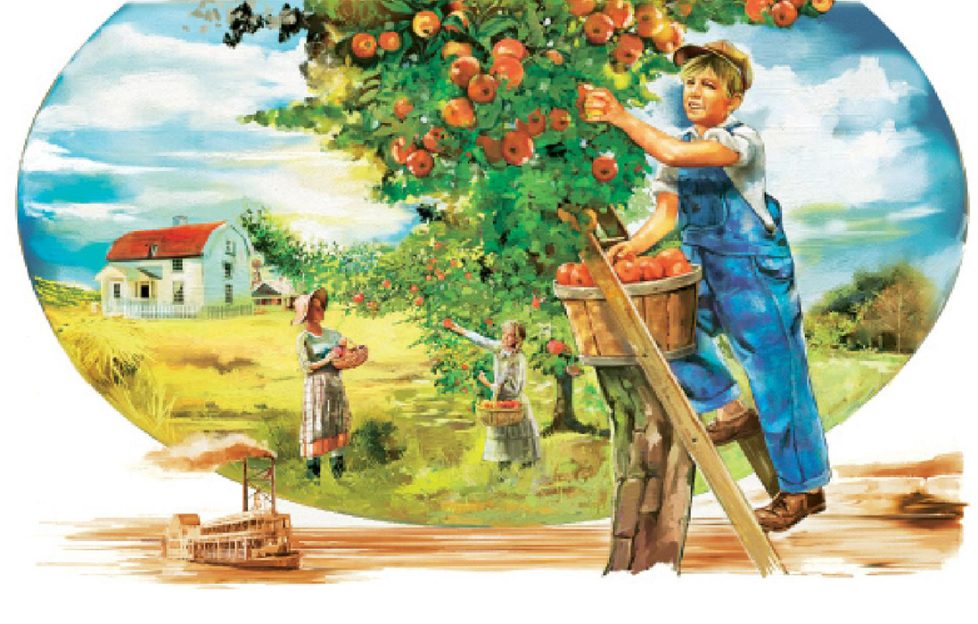 Billy-Bob picking apples Illustration by Sailesh Thakrar