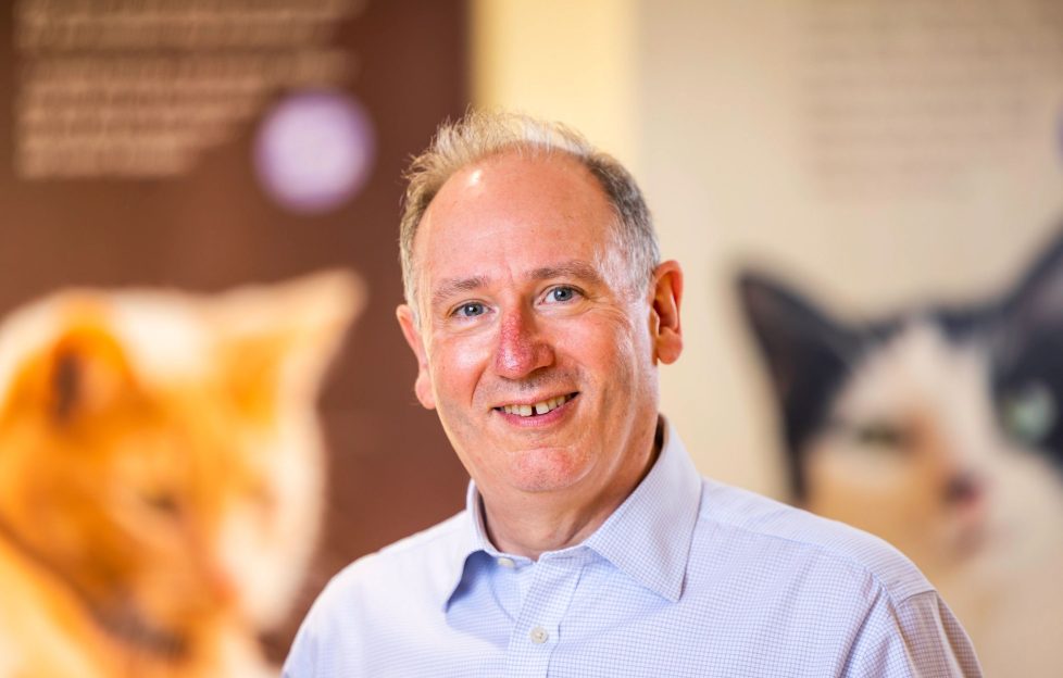 John May CEO Cats Protection