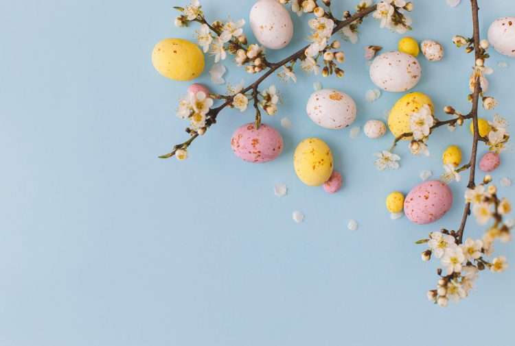 Easter image - blossom and eggs on a sky-blue background.