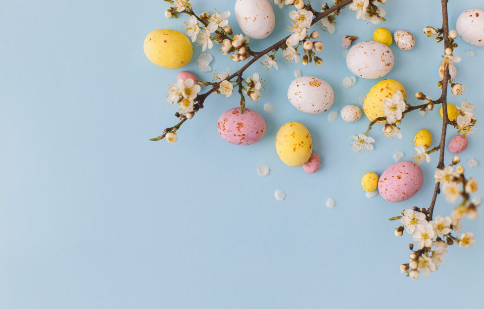 Easter image - blossom and eggs on a sky-blue background.