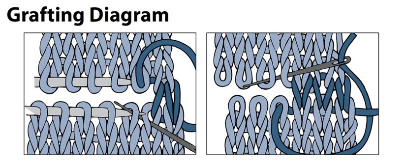 Grafting diagram