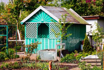 A garden allotment and shed