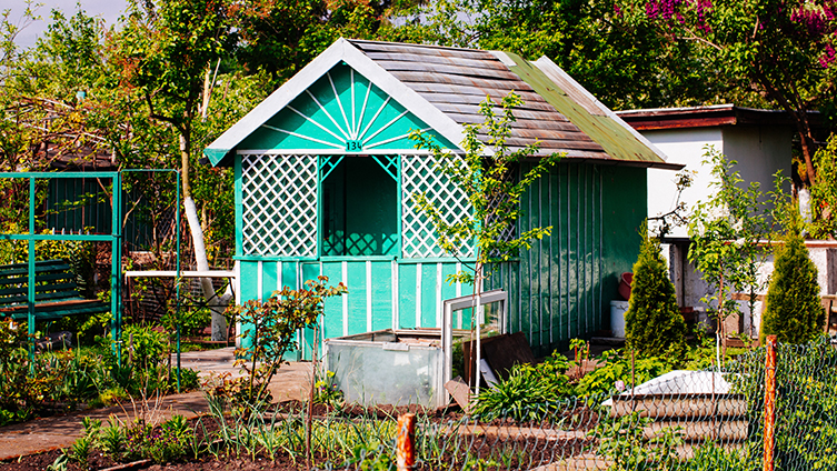 A garden allotment and shed