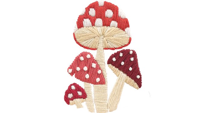 Close up of stitch mushrooms