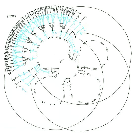 Free crochet pattern, poppy petals diagram