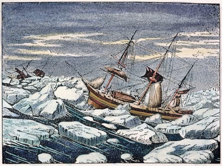 A drawing of Franklin's ships amid the ice floes of the Arctic.