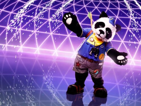 Panda (Vincent Dolman/Bandicoot TV/ITV)