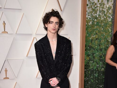 Timothee Chalamet (Jordan Strauss/AP)