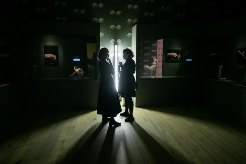 Visitors view the exhibits in the Sarah Lucas room. Kim Cessford / DCT Media.