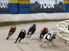 Campaigners want greyhound racing banned in Scotland (Nick Potts/PA)